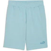 Puma ESS No.1 Logo Shorts 25,4 cm (s)