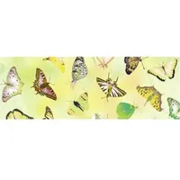Transparentpapier 115g/qm A4 VE=25 Blatt Schmetterling