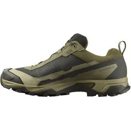 Salomon X Ultra 5 GTX Schuhe (Größe 42,