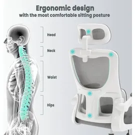 Woltu Bürostuhl ergonomisch, Schreibtischstuhl Netzstoff, höhenverstellbar, Grau - Grau