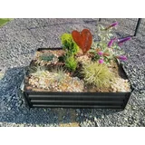 Garden Pleasure Frühbeet BOTANIKA Metall anthrazit rechteckig 120,0 x 30,0 cm