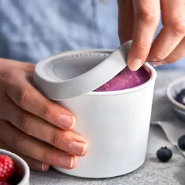 Springlane Eisbehälter rund grau 0,4 l 4-teiliges Set