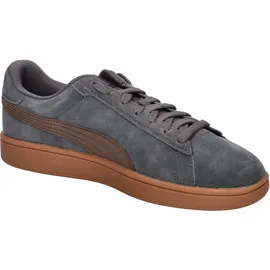 Puma Smash 3.0 Grau/Bronze 40,5