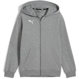 Puma Teamgoal Casuals Kapuzenjacke Medium Gray Heather/White 116