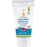 BIOTURM Lotuseffekt Aufbaukur Nr.19 150 ml