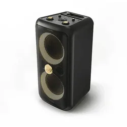 PEAQ ICONIC Party 1 PPS 200-RW Speaker, Schwarz mit goldenen Elementen