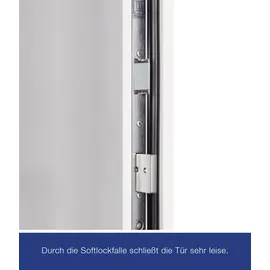 Hörmann THP 610S rechts 110 x 210 cm anthrazitgrau