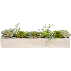 Kunstpflanze CREATIV GREEN "Sukkulenten", grün, B:40cm H:10cm T:6cm, Kunststoff, Kunstpflanzen, mit verschiedenen Sukkulenten arrangiert