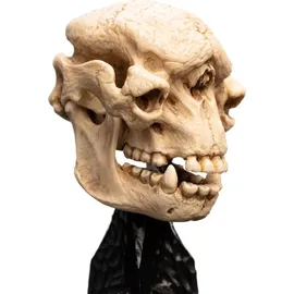 Weta Workshop - Herr der Ringe Mini Statue Skull of a Cave Troll 21 cm