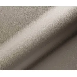 DeLife Drehstuhl Nube-Flex mit Armlehnen Echt-Leder Schlamm Fußkreuz Edelstahl 360° drehbar Taschenfederkern, Esszimmerstühle