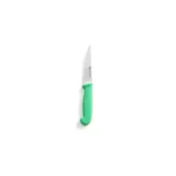 HENDI Universalmesser, Kunststoffgriff grün 842119 , 1 Messer, Klingenlänge: 10 cm