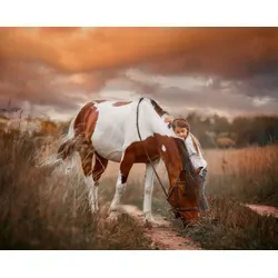 Fototapete PAPERMOON "PINTO PONY-PFERD MÄDCHEN SCHECKE TIER MINI INDIAN", bunt, B:3,50m L:2,60m, Vlies, Tapeten