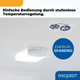 GGV Exquisit Exquisit Kühl-Gefrierkombination KGC5320-95-E-WS-040C inoxlook-az | Nutzinhalt: 313 L | Wasserspender | 4*-Gefrieren | Alarm-Funktion | 4 Glasablagen - Schwarz