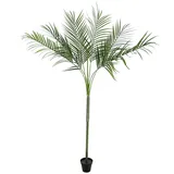 Europalms Areca deluxe, 180cm