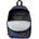 brize palm navy