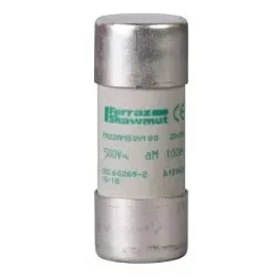 Schneider Electric DF2FA63 Sicherungseinsatz NFC 22x58mm zylindrisch, aM 63A, ohne Anzeige  - VPE 10