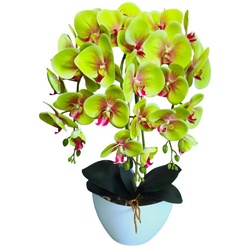 Kunstorchidee Orchidee, damich, Höhe 60 cm, Künstliche Orchideenblumen Orchidee grün grün
