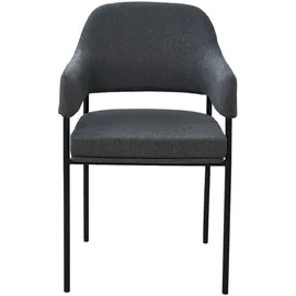 Svita Scarlett 2er Set Esszimmerstühle Armlehnstuhl Polsterstuhl Stoff Grau