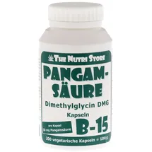 HIRUNDO PRODUCTS Pangamsäure B15 50 mg vegetarische Kapseln