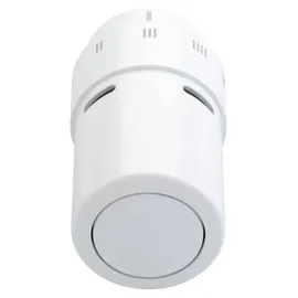 Danfoss RAX Heizkörperthermostat mechanisch 8 bis 28 °C