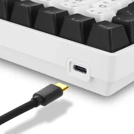 Sharkoon SKILLER SGK50 S3 Gaming-Tastatur Gateron Yellow