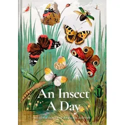 An Insect A Day