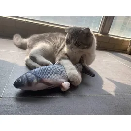 Selva Katzenspielzeug Magic Fish