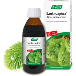 A VOGEL SANTASAP O A ROTTA