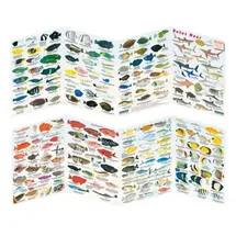 sub-base Logbuchsysteme Fischfaltblatt rotes Meer