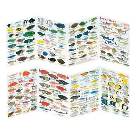 sub-base Logbuchsysteme Fischfaltblatt rotes Meer