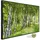Papermoon Infrarotheizung Birkenwald 600 W bunt