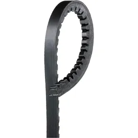 Gates 6560MC Keilriemen