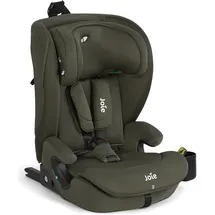 Joie i-Irvana Max Fern Mesh