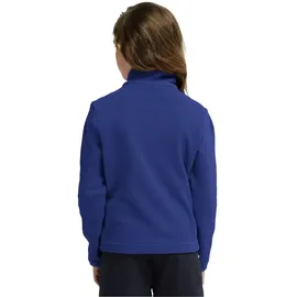 Jack Wolfskin Taunus 100 Half Zip Blue 140