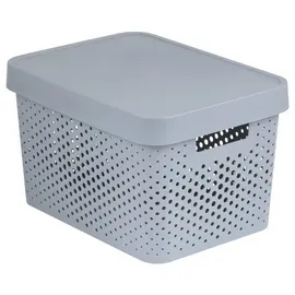 Curver Aufbewahrungsbox INFINITY 36,3 x 27 x 22,2 cm 1-tlg. hellgrau