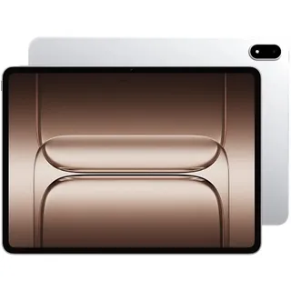 12 GB RAM 256 GB Silver