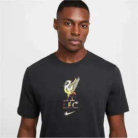 Nike FC Liverpool T-Shirt 2023 grau Herren Gr. S