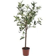 Künstlicher Olivenbaum - Carina | 65 cm