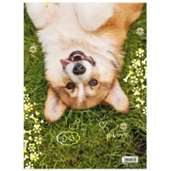 RNK Gummizugmappe A3 Corgi 45382 320x420mm