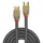 Lindy HDMI-Kabel 2 m Gold
