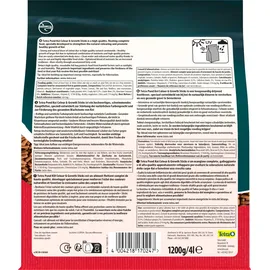 Tetra Koi Sticks Colour & Growth 4 l