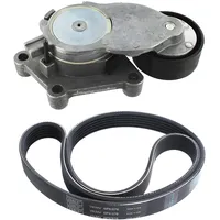 SKF Keilrippenriemensatz