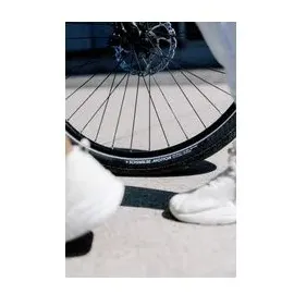 Schwalbe Motion Big Apple 28 x 2,00 Zoll Drahtreifen
