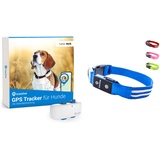 Tractive GPS Tracker für Hunde + LED-Halsband. Live-Ortung mit unbegrenzter Reichweite (Blau, S)