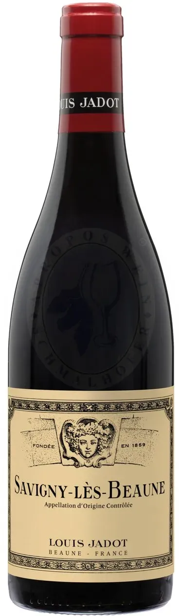 Savigny Beaune Villages Rouge 2021 Jadot 0,75l