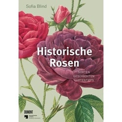 Historische Rosen