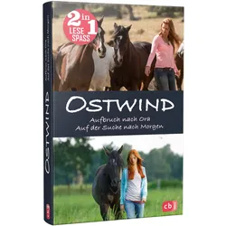 Kinderlesebücher 2in1 (Lea Schmidbauer, Magdalena Kristina Henn: Ostwind 3 - Aufbruch nach Ora & Ostwind 4 - Auf der Suche nach Morgen)  versch. Ausführungen