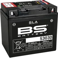 Bs Battery Werksseitig aktivierte wartungsfreie SLA-Batterie - 53030