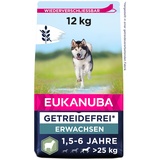 Eukanuba Grain Free Adult Large Dogs Lamm Hundefutter trocken
