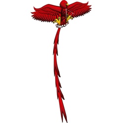 Eolo Kites Ready 2 Fly – Pop-up-3D-Drachenadler
